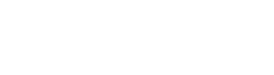 媛っこ地鶏の手羽先